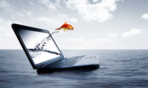 Informatica en Valencia